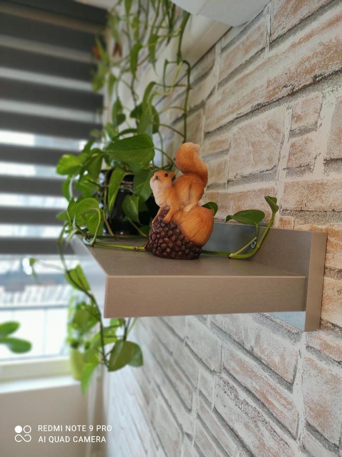 Baross Apartman Kaposvár Buitenkant foto