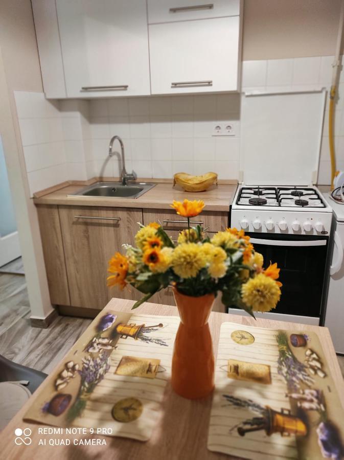 Baross Apartman Kaposvár Buitenkant foto
